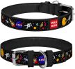 Leather Dog Collar for Small Medium Dogs NASA 8-11 in Neck x 0.5 in Wide Black Leather Buckle Dog Collar