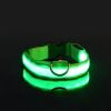 Glow-In-The-Dark Pet Collar For Dog & Cat; LED Dog Collar For Night Walking; USB charging